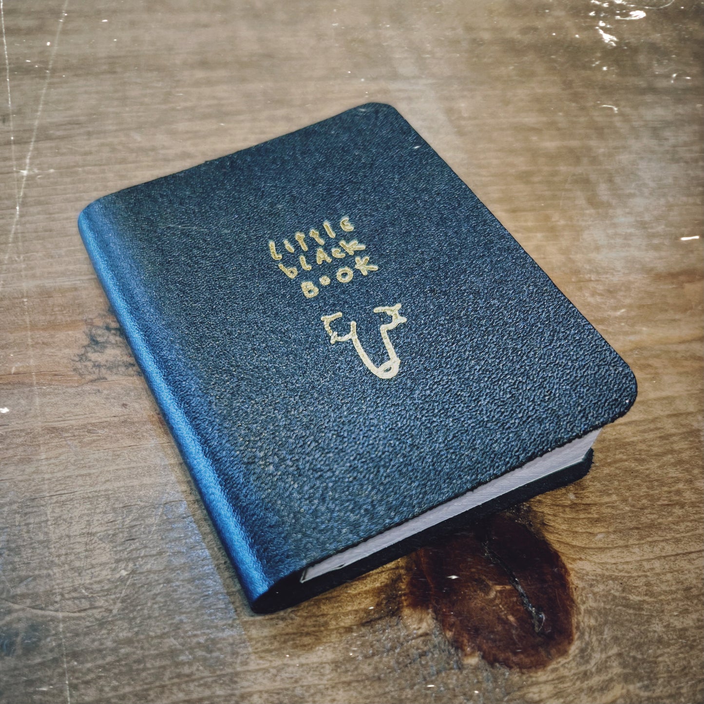 Little Willy Black Book
