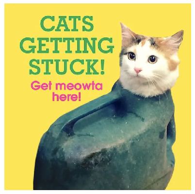Cats Getting Stuck!