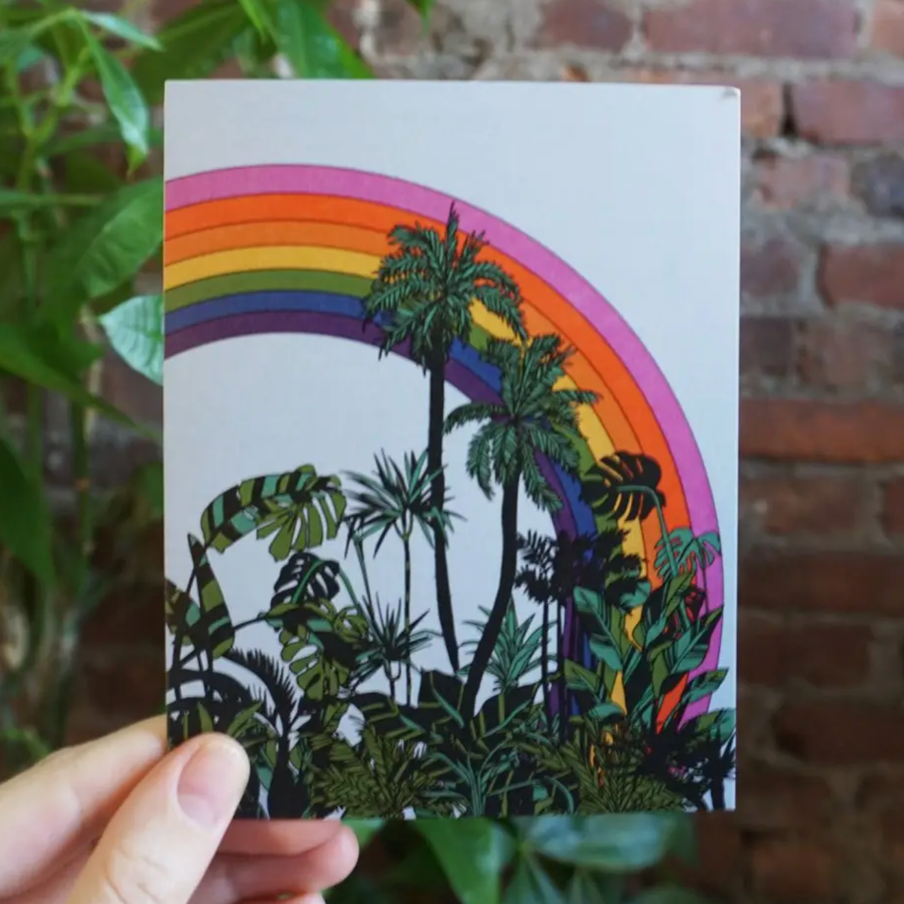 Rainbow Palms