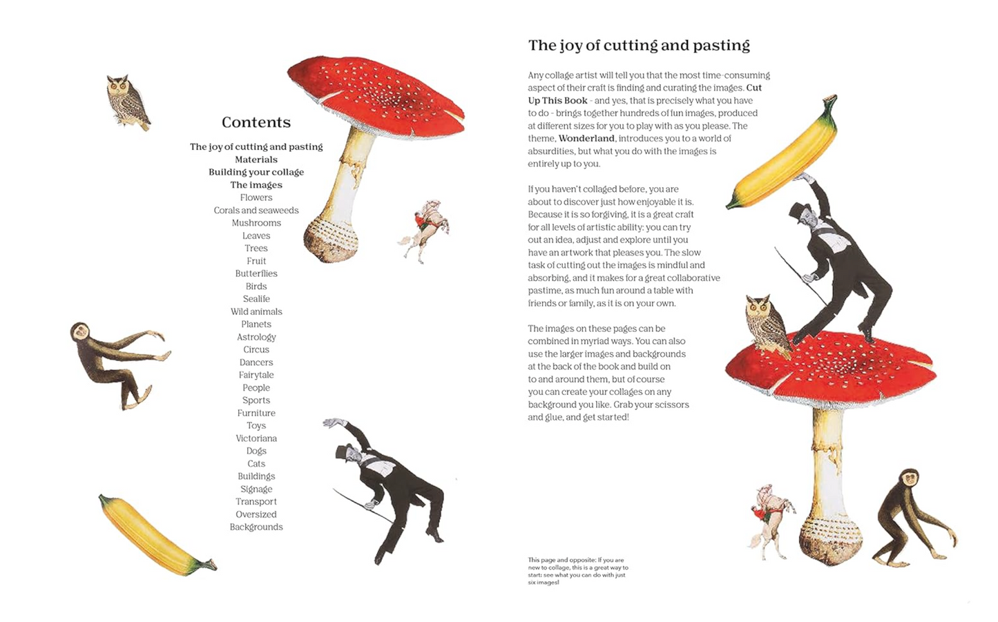 Cut Up This Book and Create Your Own Wonderland