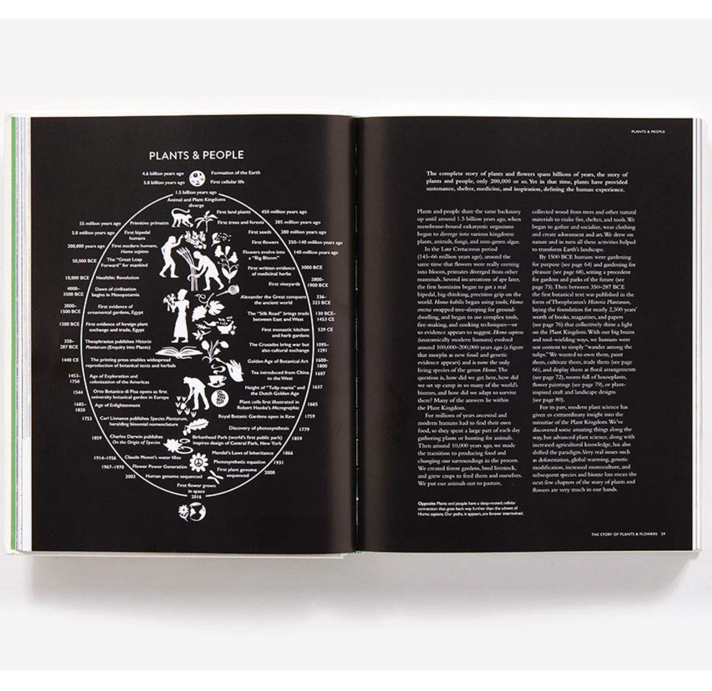 The Botanical Bible: Plants, Flowers, Art, Recipes & Other Home Uses