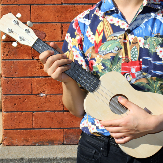Make Your Own Ukulele