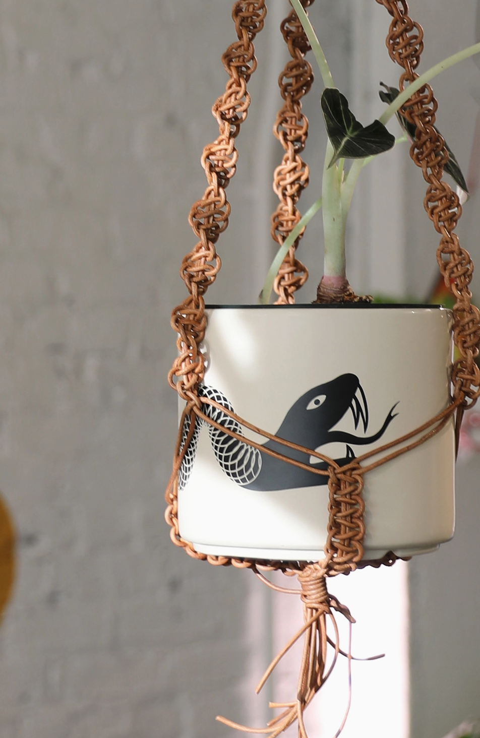 plant chain hanger Leather Plant Hanger – curious