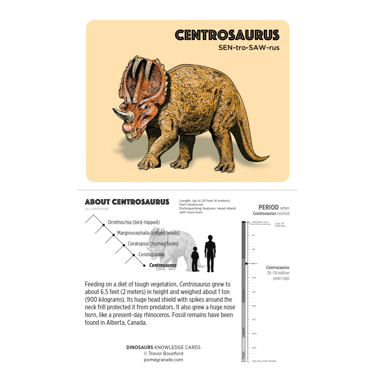Dinosaurs Knowledge Cards