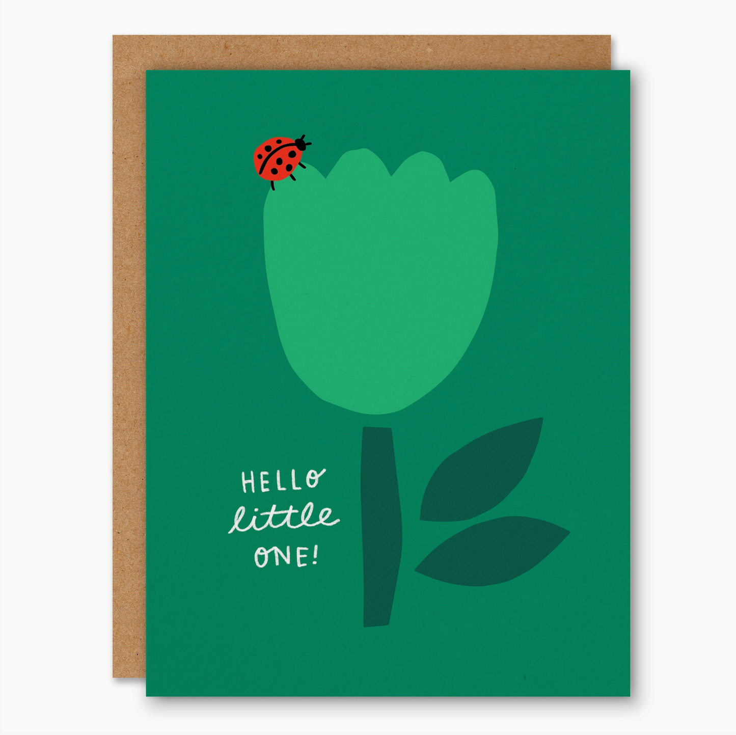 Little Ladybug Baby Card
