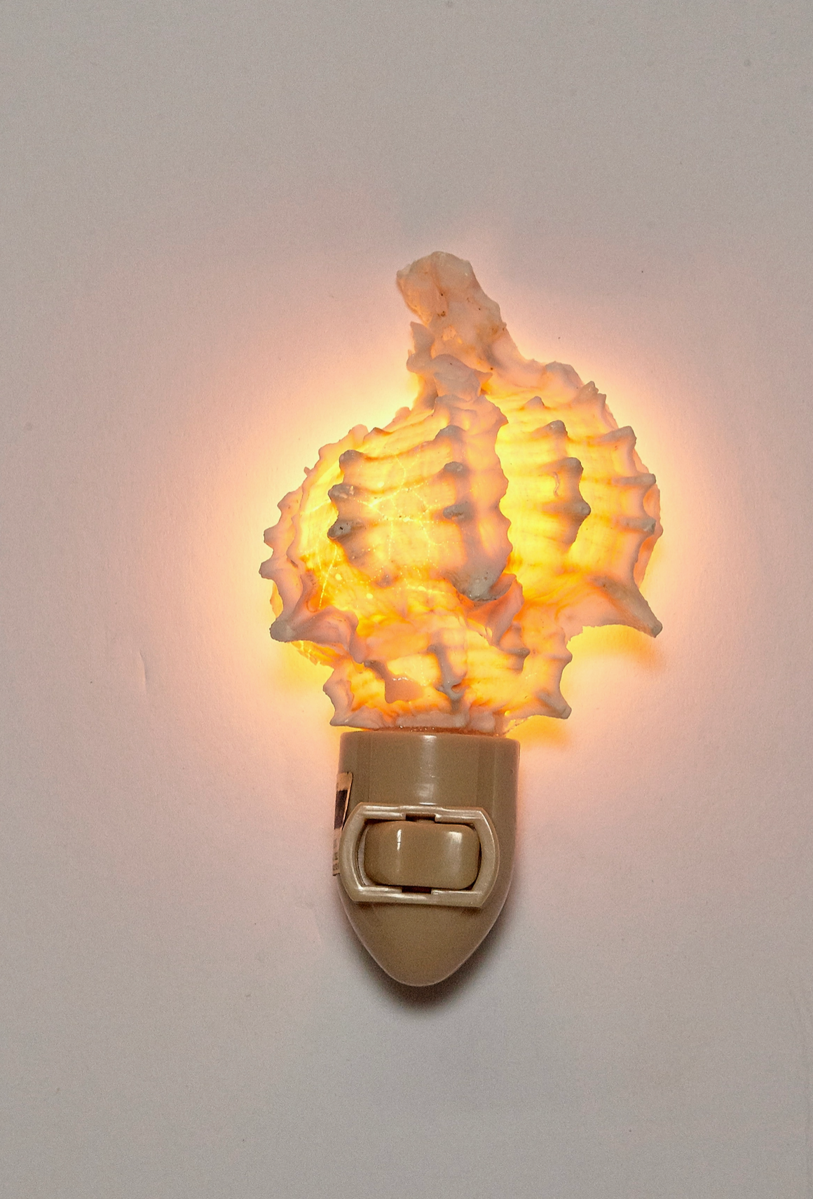 Pink Murex LED Night Light