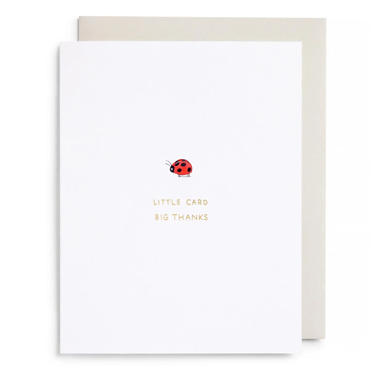 Little Card Big Thanks Card