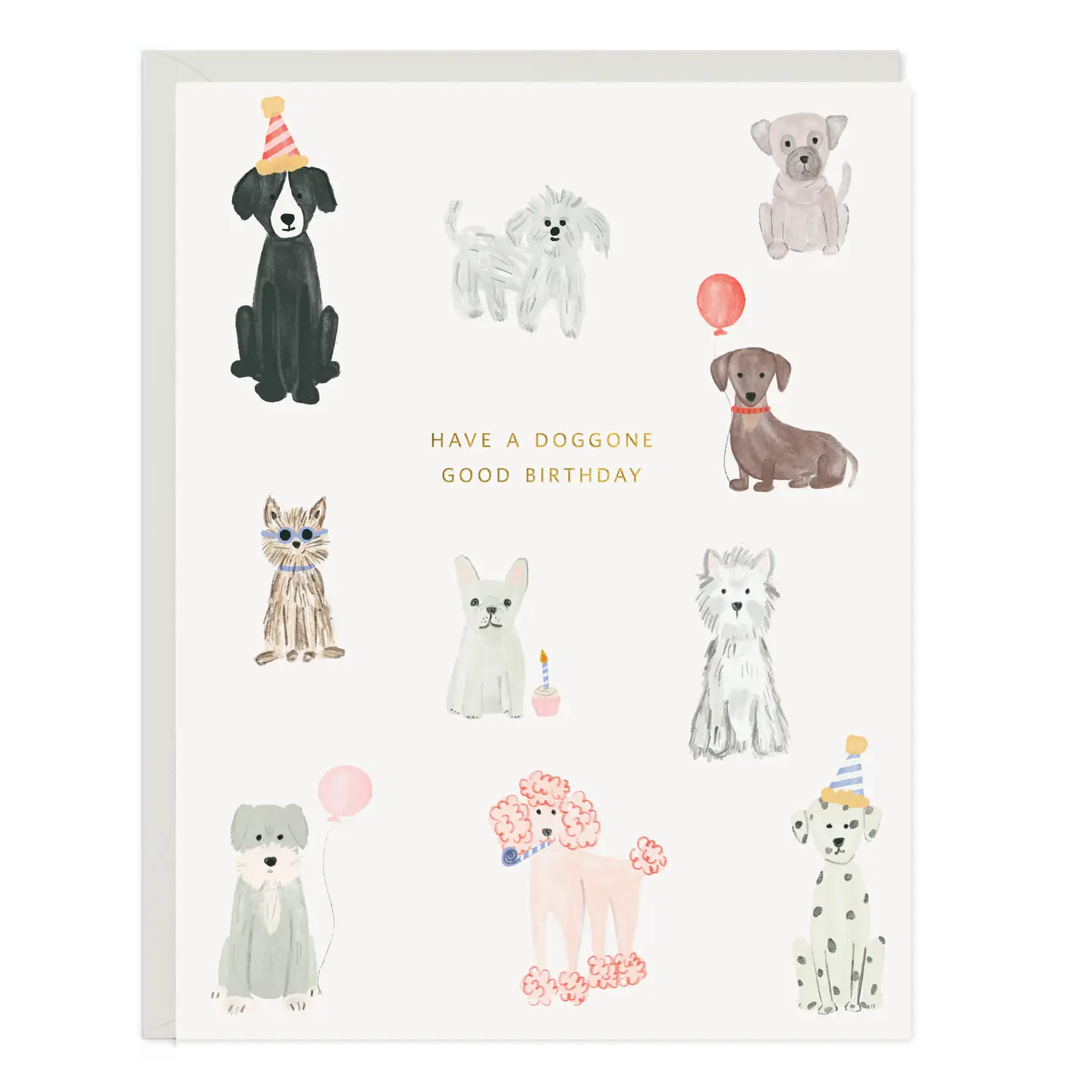 Doggone Birthday