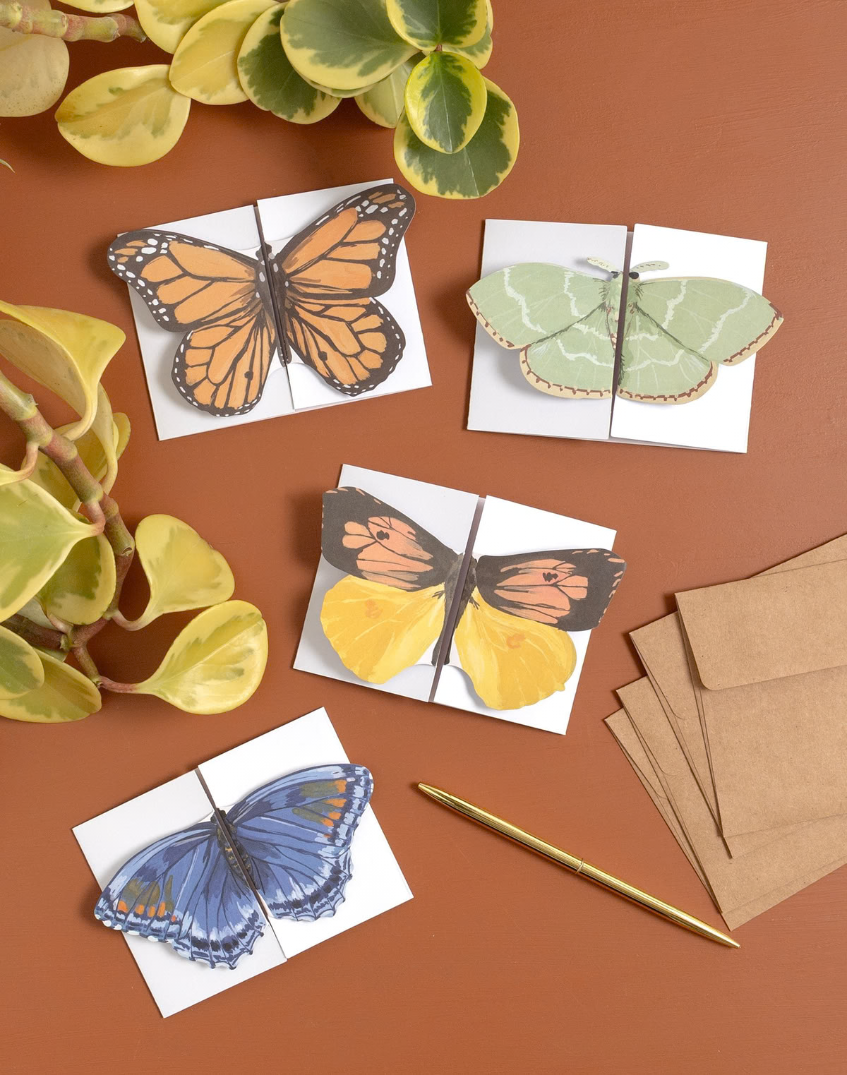 Flutter Friends Fold-Out Greeting Card Set