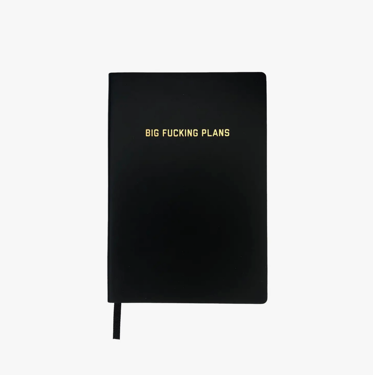 Big Fucking Plans Dotted Journal