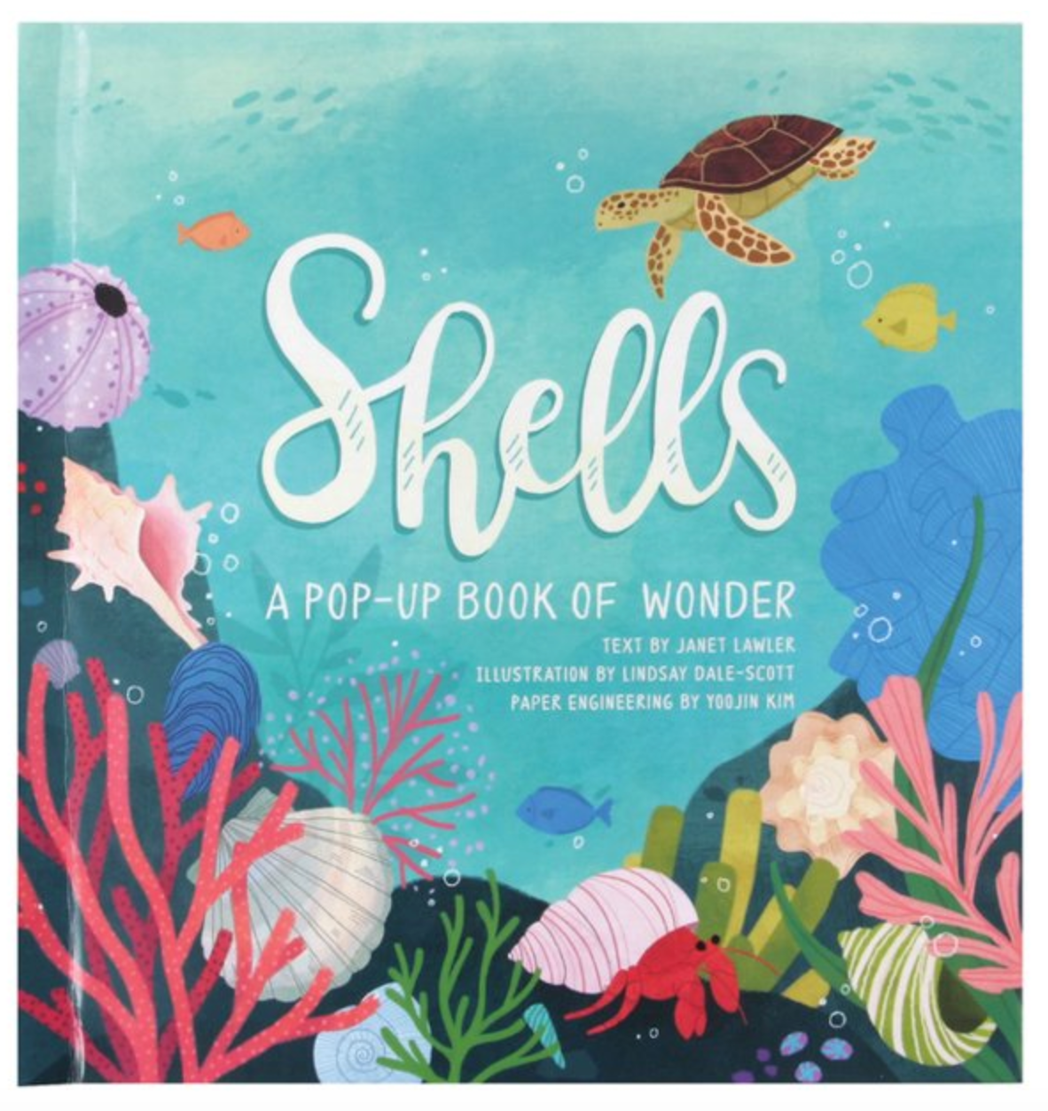 Shells: A Pop-Up Book of Wonder