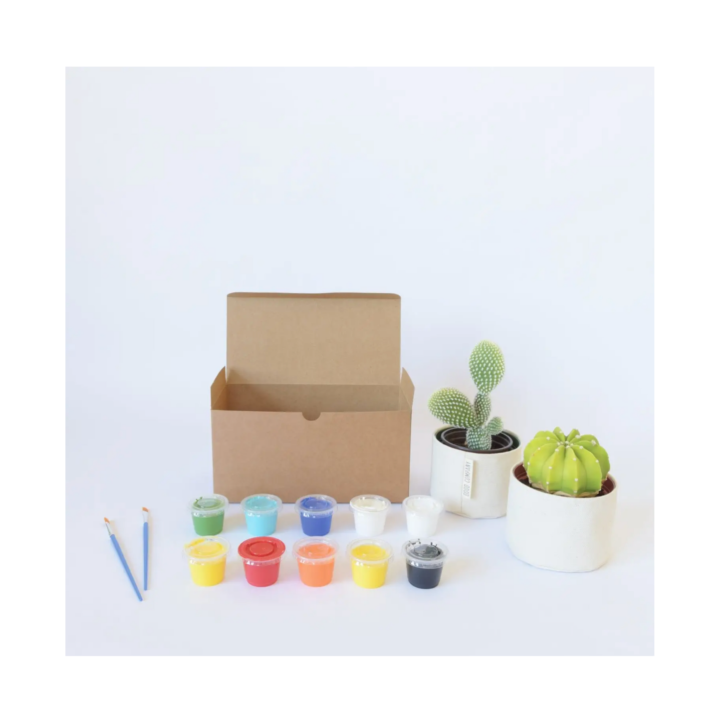 Hanging Blank Canvas Planter Art Kit
