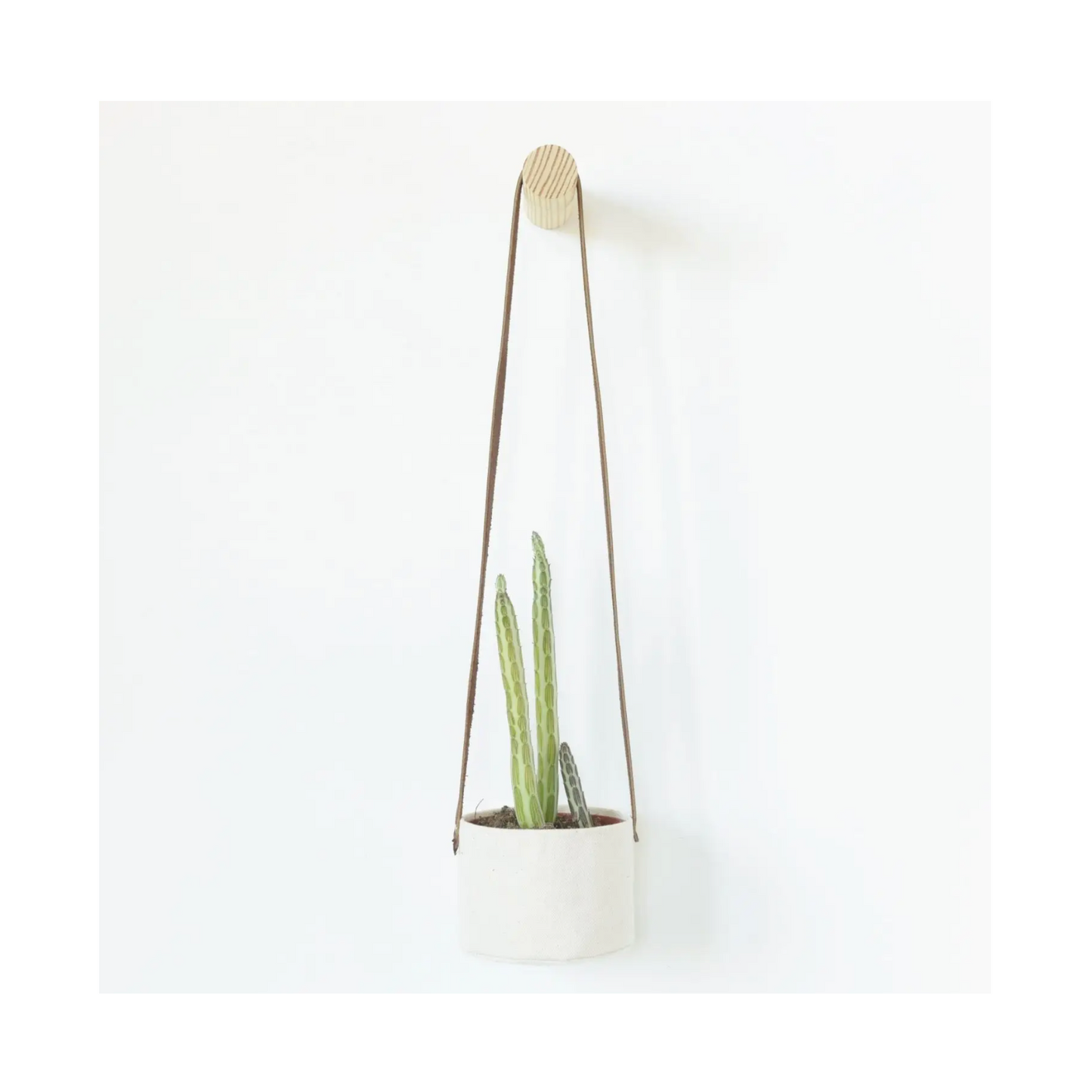 Hanging Blank Canvas Planter Art Kit
