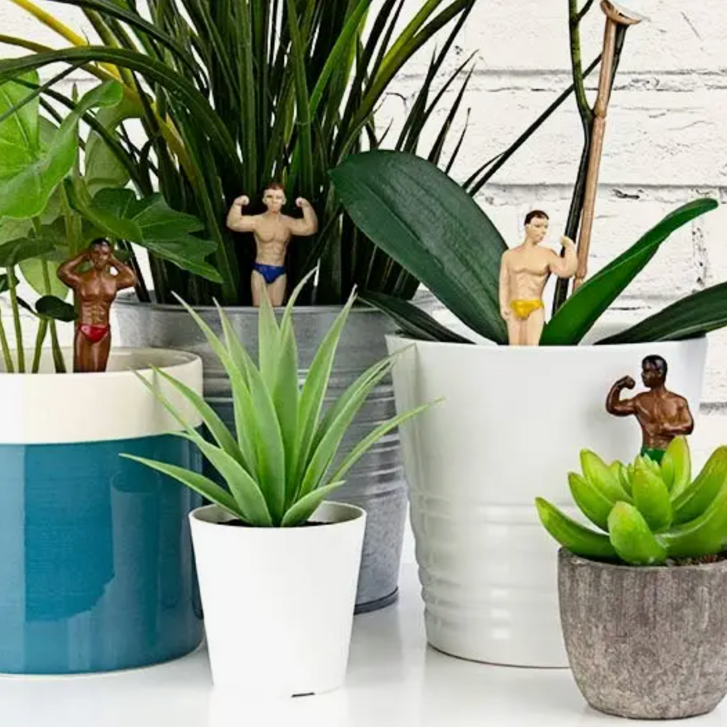 Mini Hunk Planters