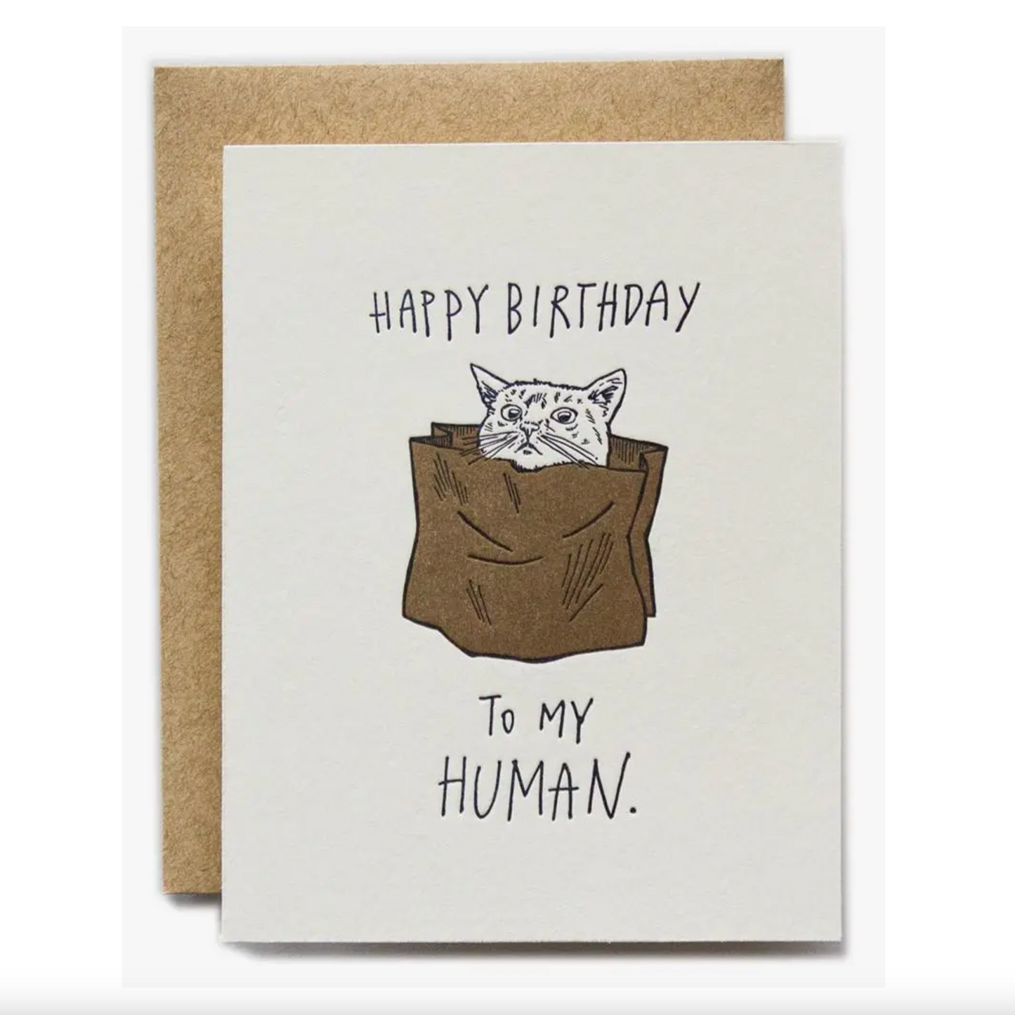 Cat, Happy Birthday Human