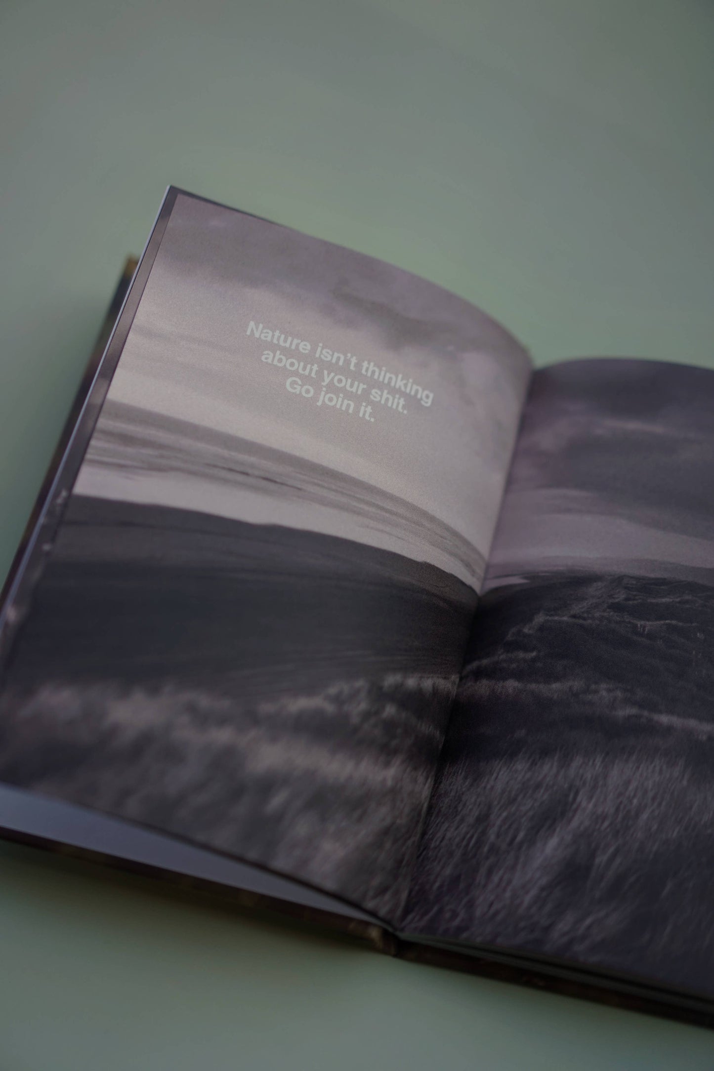 'Tough Love. Tough Shit. A Field Guide For Getting Over Yourself'