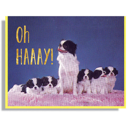 Oh HAAAY! Card