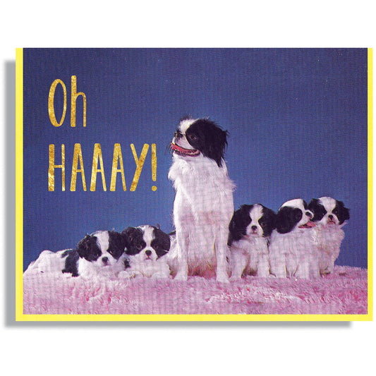 Oh HAAAY! Card
