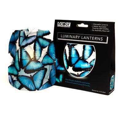 Blue Morpho Butterfly Luminary Lanterns