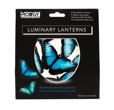 Blue Morpho Butterfly Luminary Lanterns
