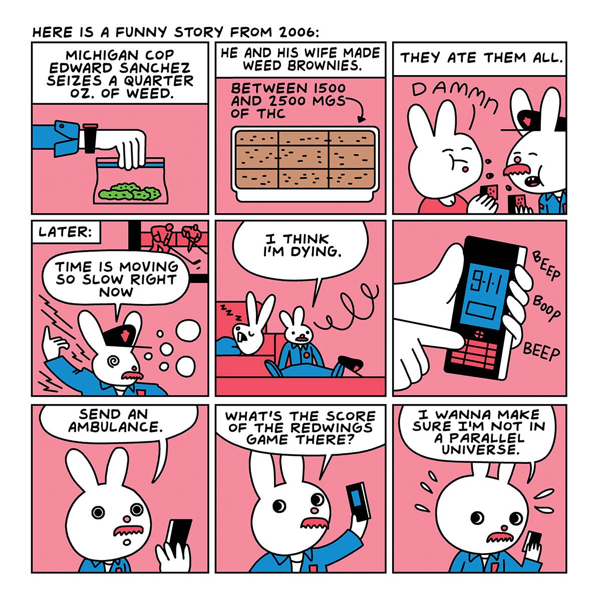 Are You Too High? Adult Storybook