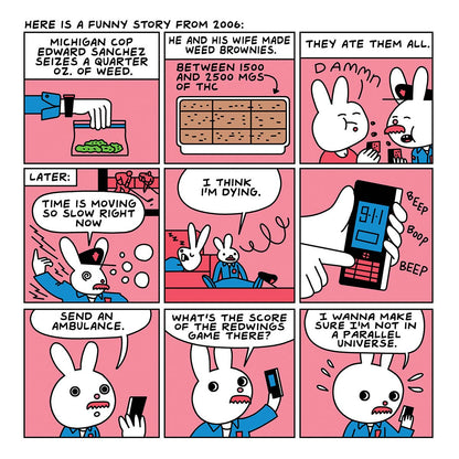 Are You Too High? Adult Storybook