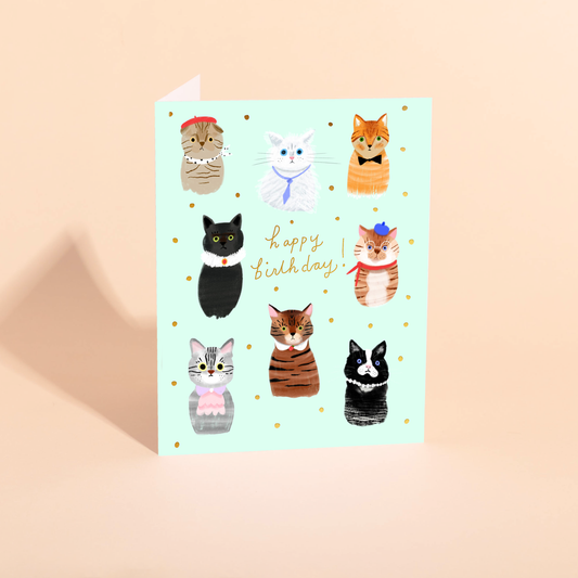 Party Cats