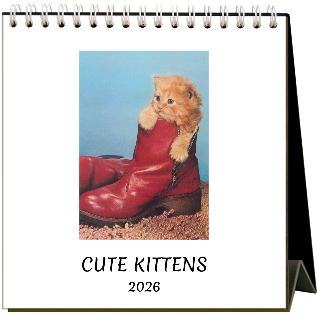 Cute Kittens 2026 Desk Calendar