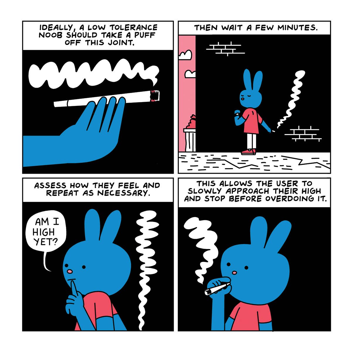 Are You Too High? Adult Storybook