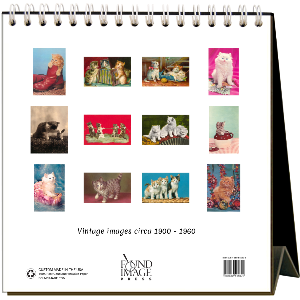 Cute Kittens 2026 Desk Calendar