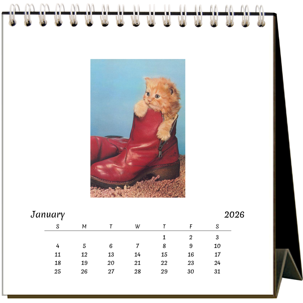 Cute Kittens 2026 Desk Calendar