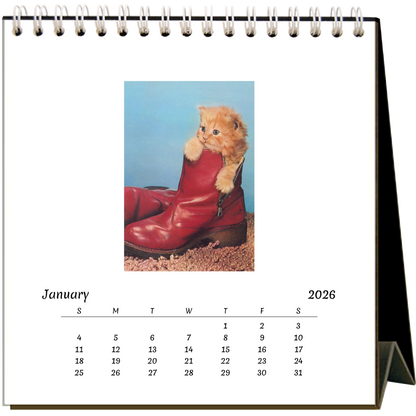 Cute Kittens 2026 Desk Calendar