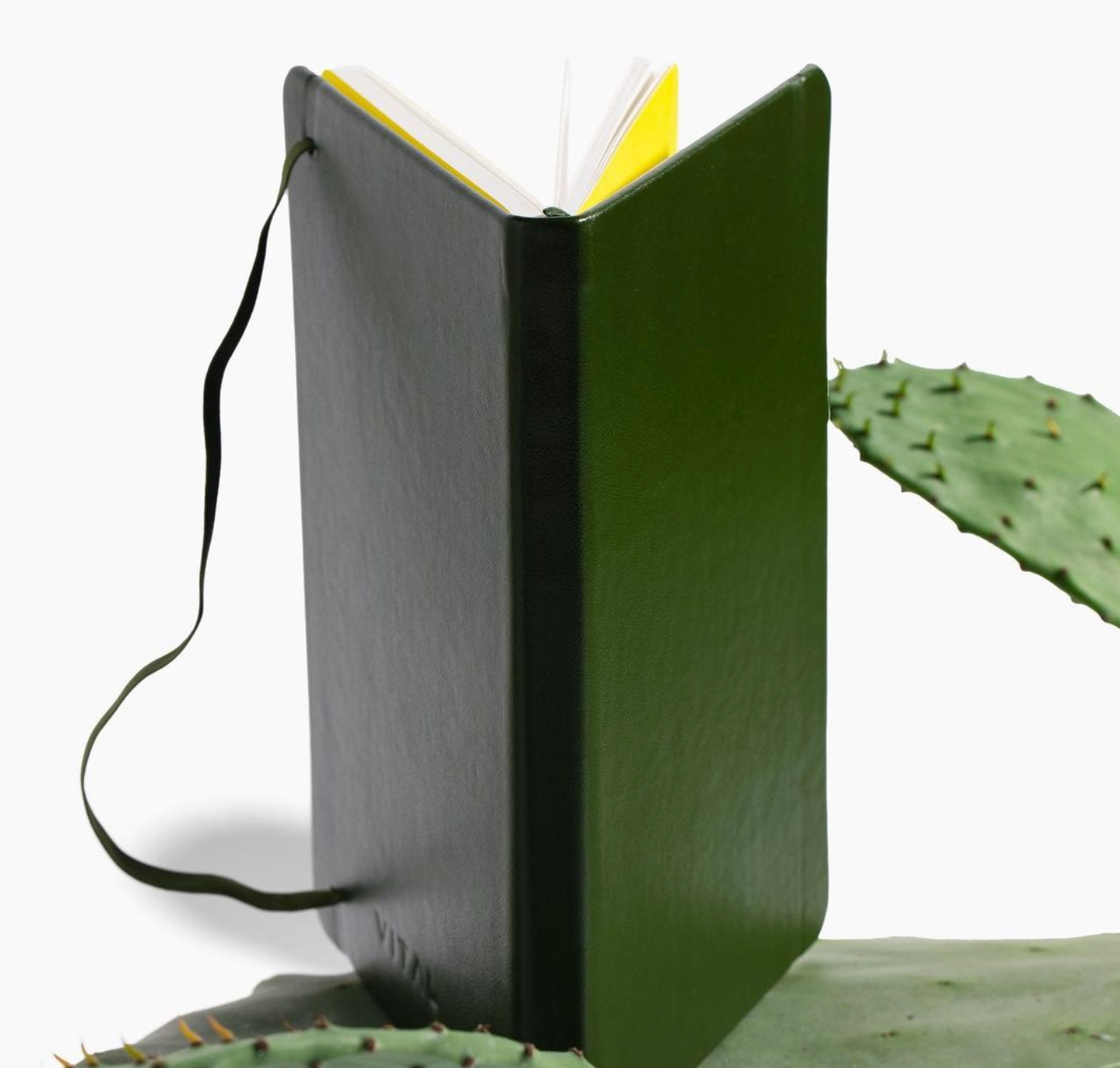 Cactus Leather Lined Journal