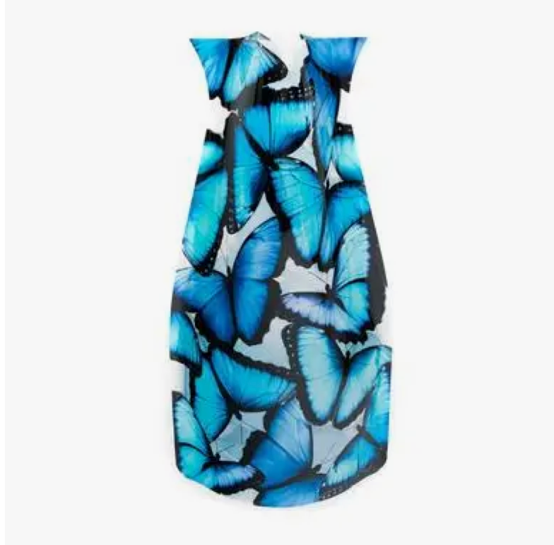 Blue Morpho Butterfly Expandable Vase