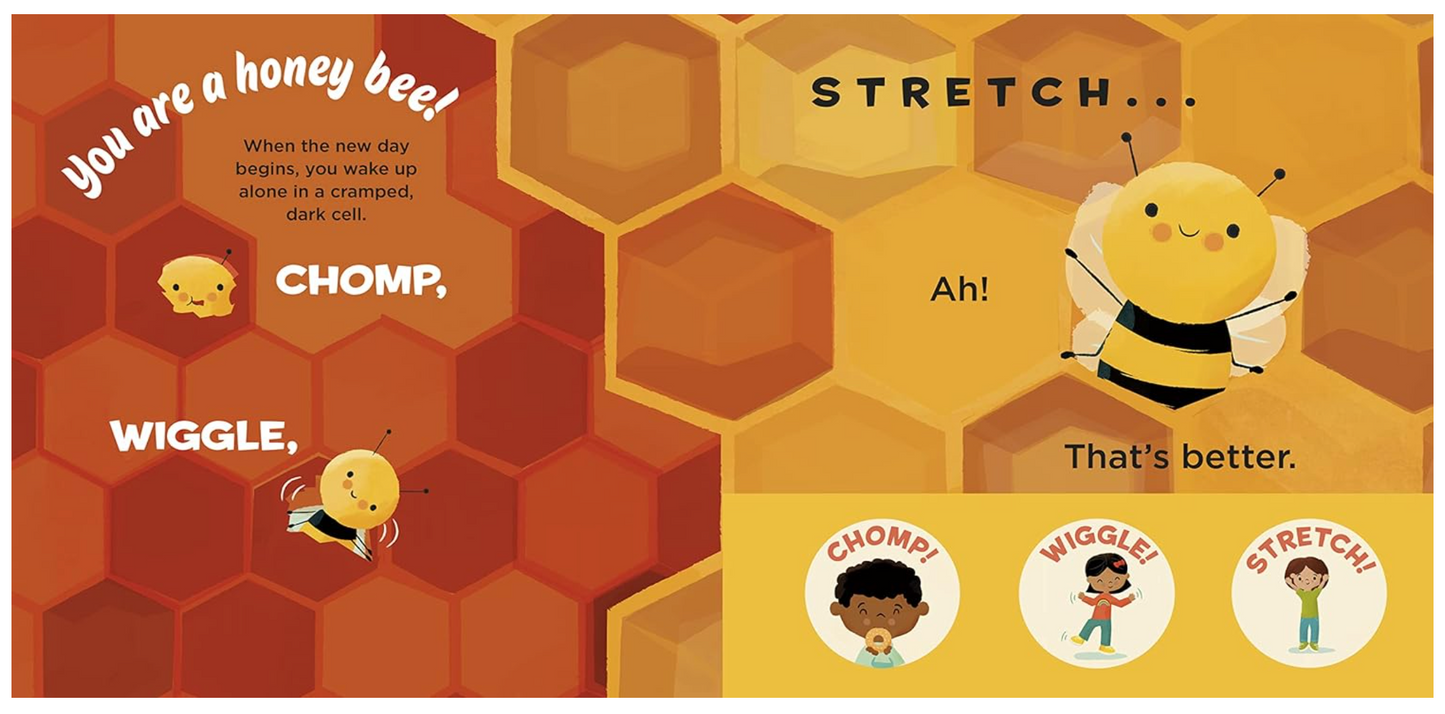 You Are a Honey Bee!: Meet Your World