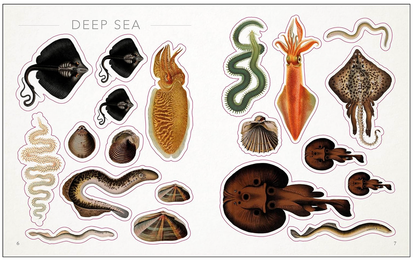 The Seashore Sticker Anthology