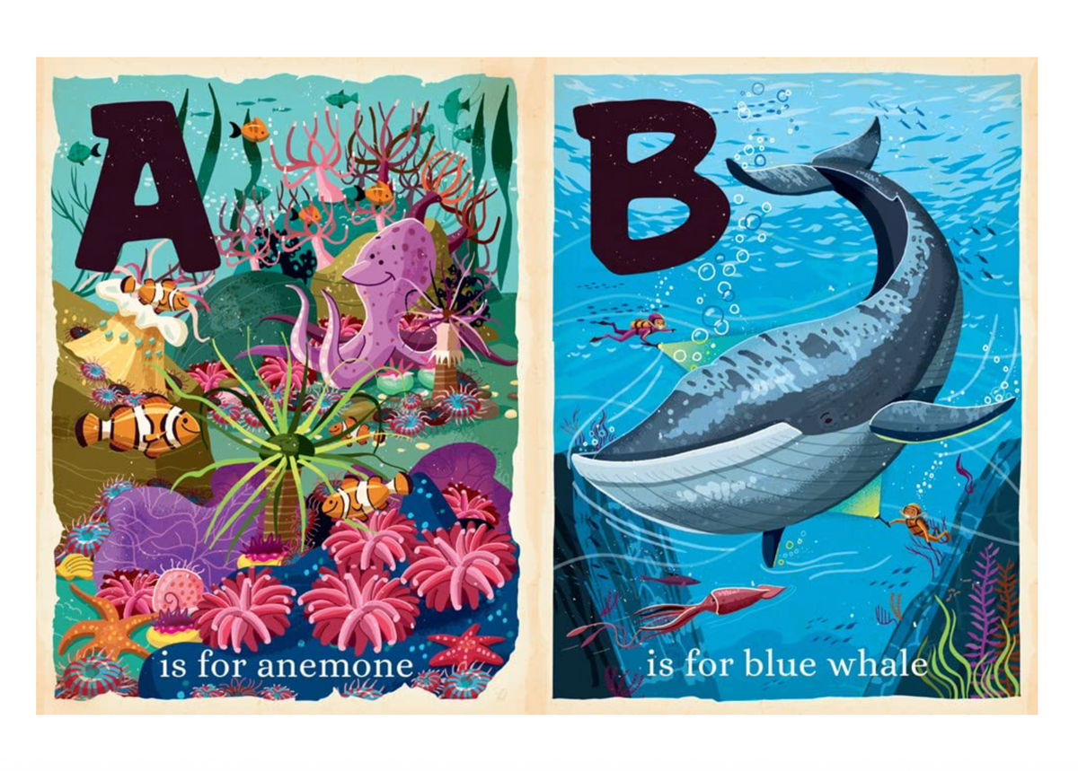 O is for Ocean