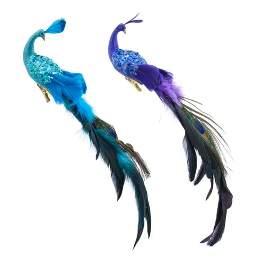 Feather Peacock w/ Clip Ornament, 15”