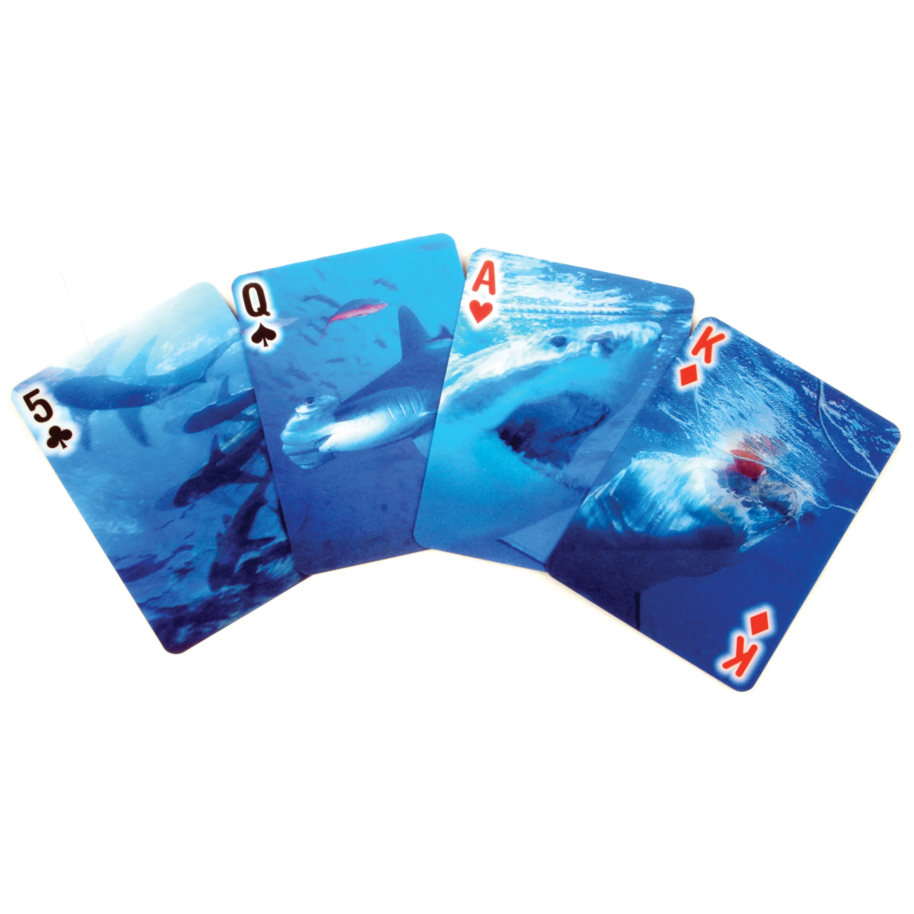 Shark- Motion Playing Cards