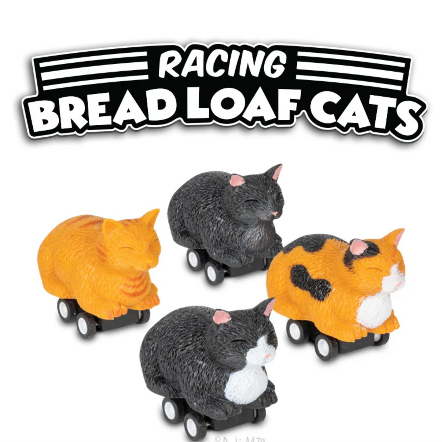 Racing Bread Loaf Cats