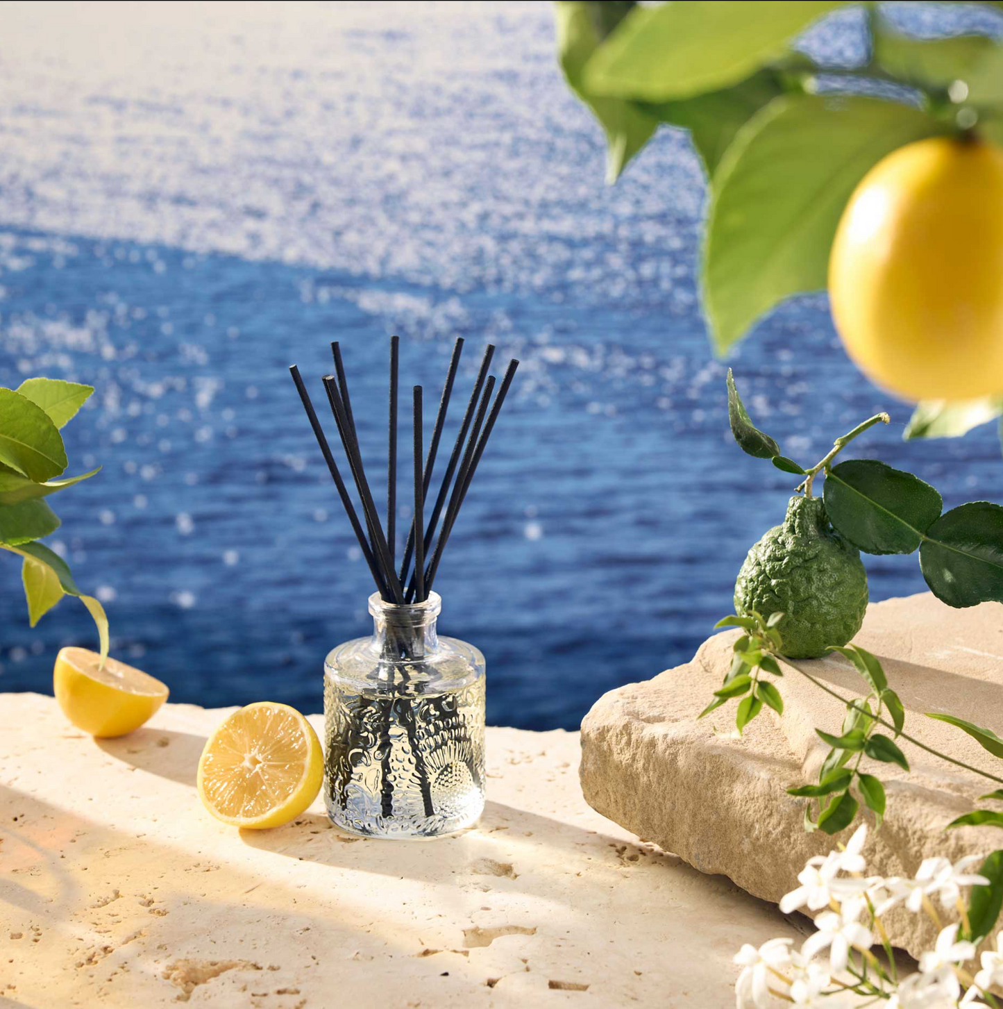 Mediterranean Lemon Reed Diffuser