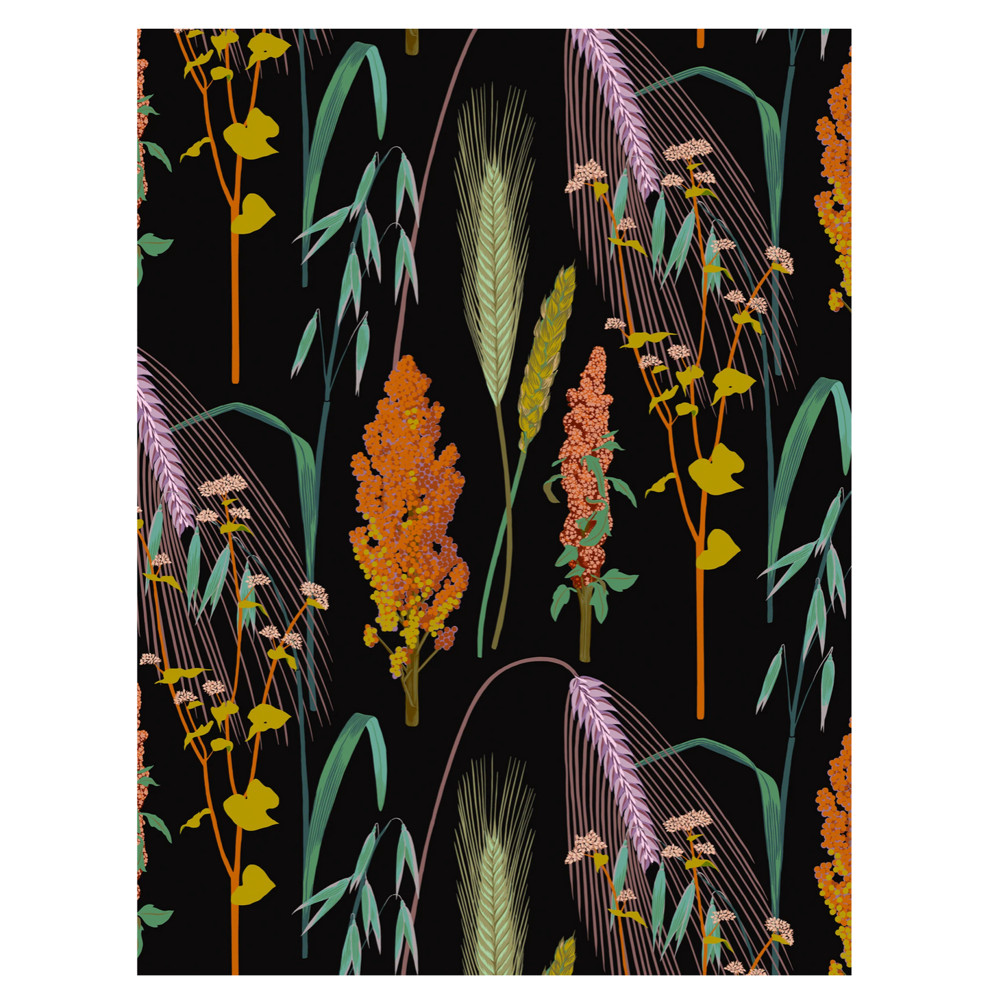 Kate Blairstone Slipcase Boxed Notecards