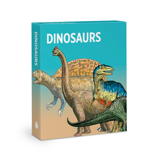 Dinosaurs Knowledge Cards