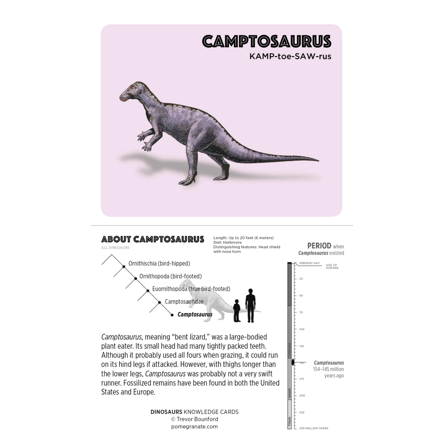 Dinosaurs Knowledge Cards