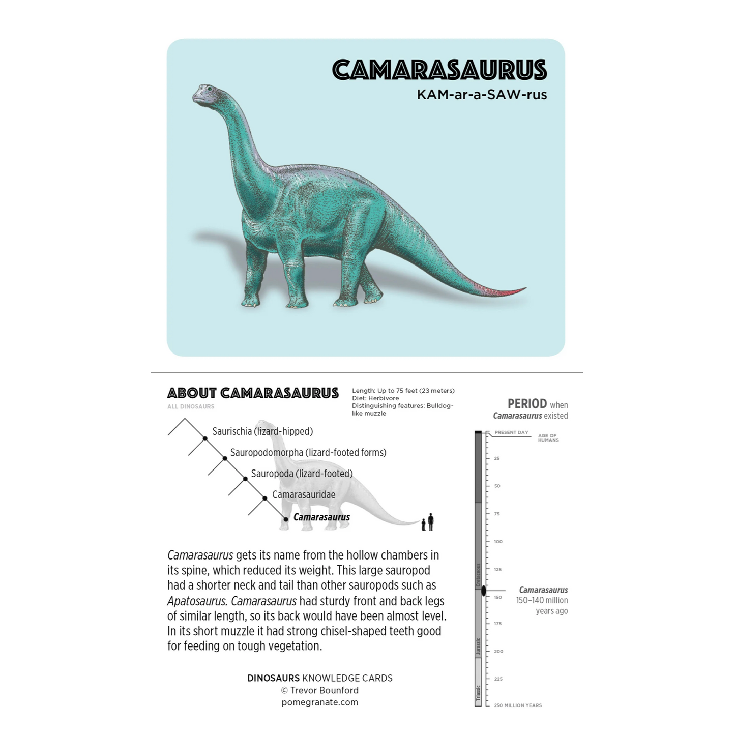Dinosaurs Knowledge Cards