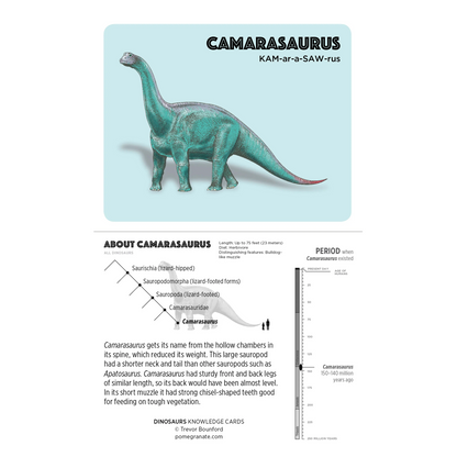 Dinosaurs Knowledge Cards