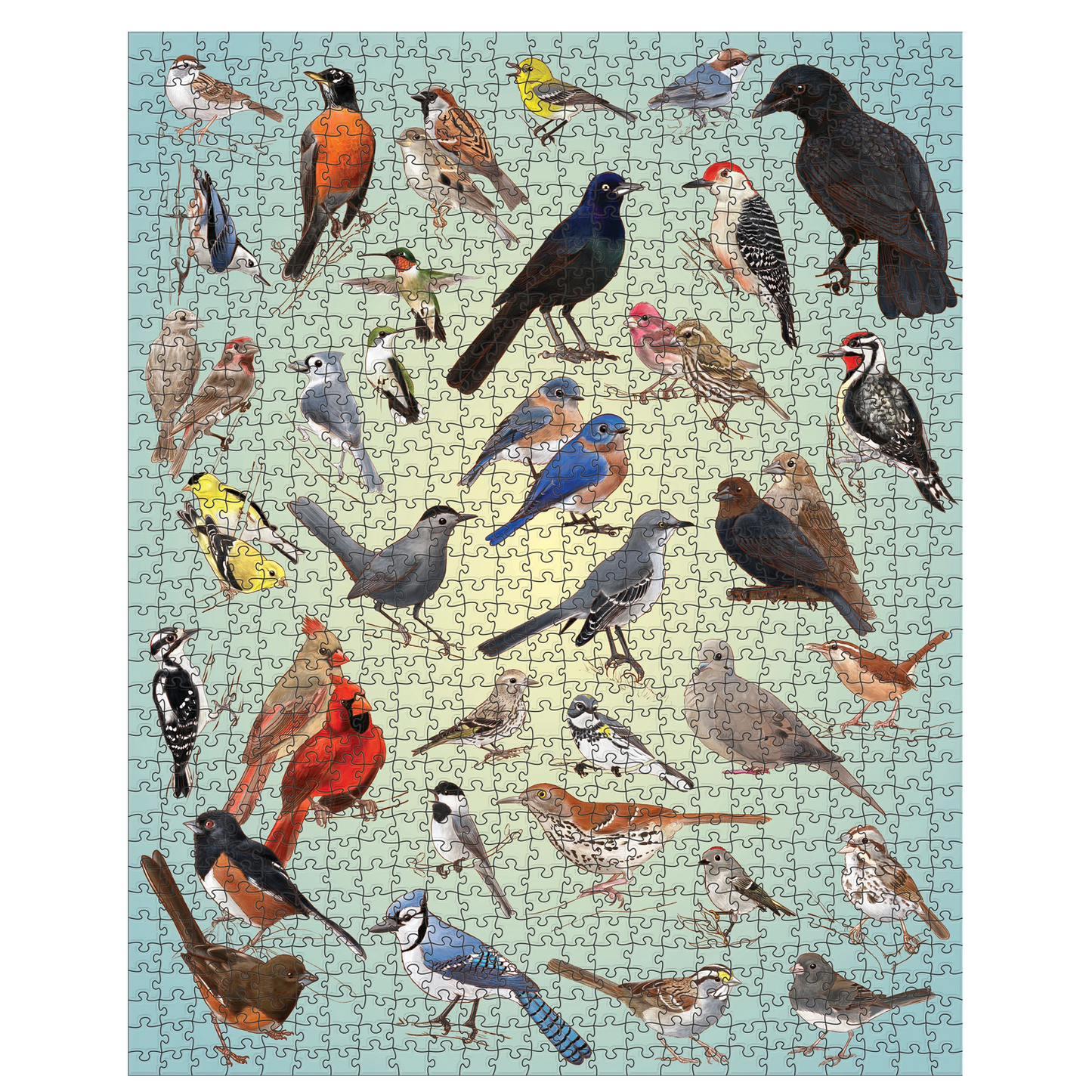Casey Girard: Backyard Birds 1000-Piece Jigsaw Puzzle