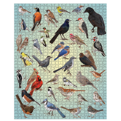 Casey Girard: Backyard Birds 1000-Piece Jigsaw Puzzle