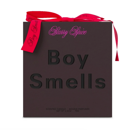 Starry Spice Holiday Candle, 8.5oz