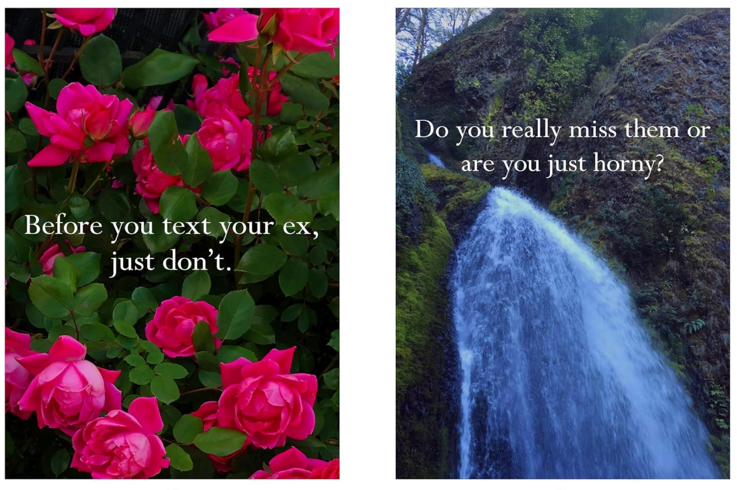 Sorry in Advanced for Making Things Weird